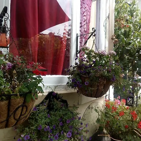 Caspians Boutique * سكرابورو
